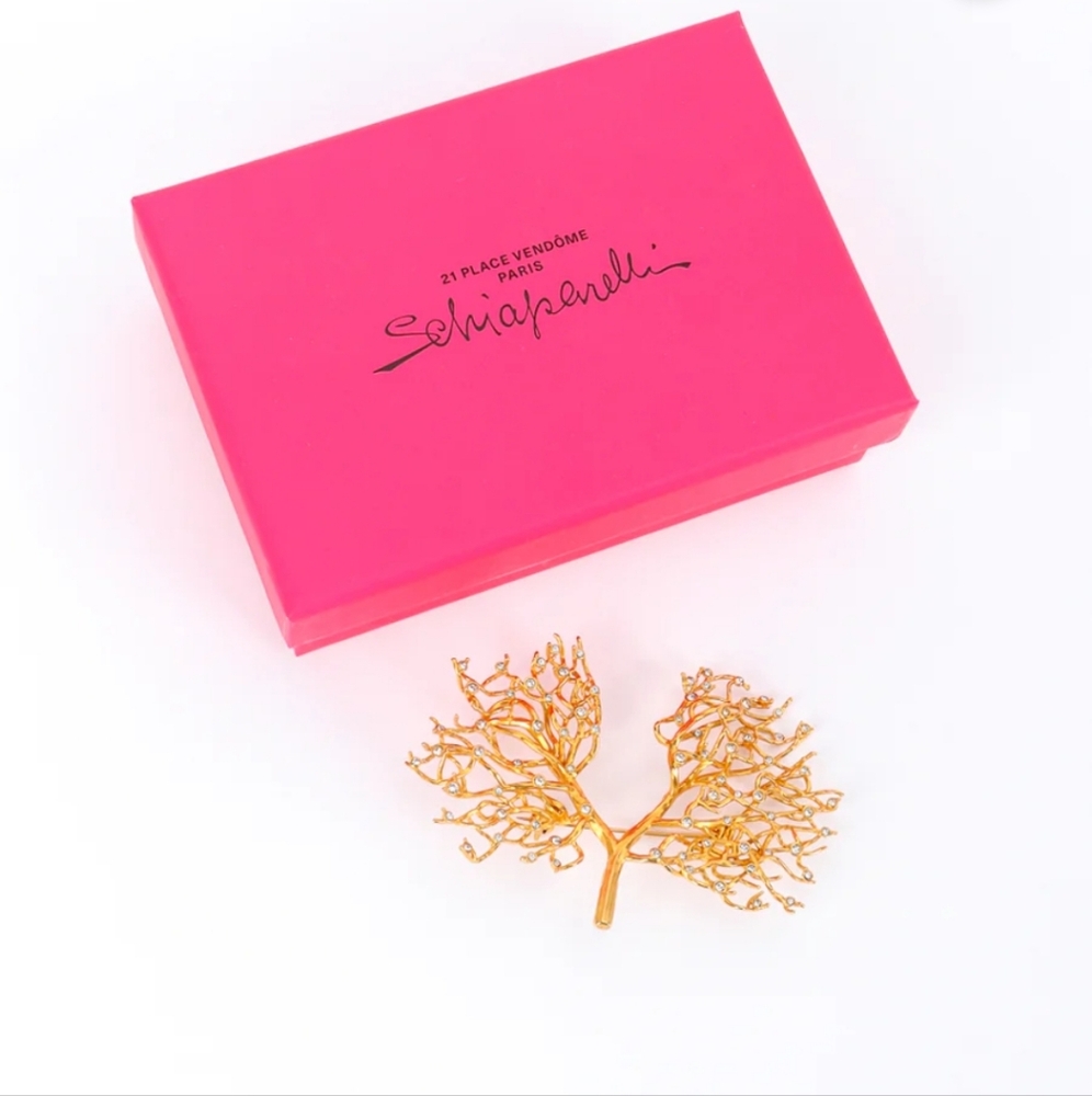🌹Schiaparelli brooch  brass and crystals
